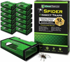 The Best Wolf Spider Traps: Expert Recommendations for Pest Control