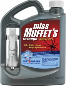 Miss Muffet's Revenge Indoor
